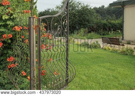 Open Gray Metal Gate Made Of Iron Rods In A Forged Pattern Over Green Grass And A Fence Wall Overgro