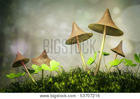 An image of some nice mushrooms in the forest