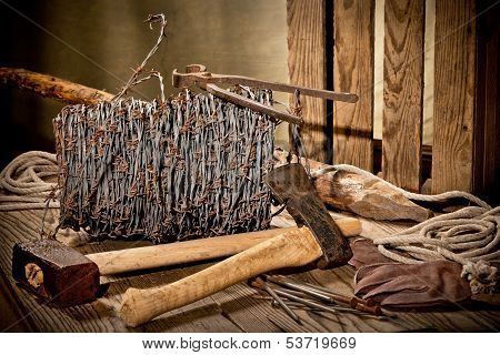 Still Life With Barbed Wire