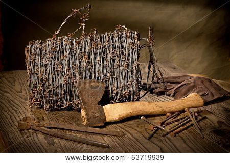 Still Life With Barbed Wire