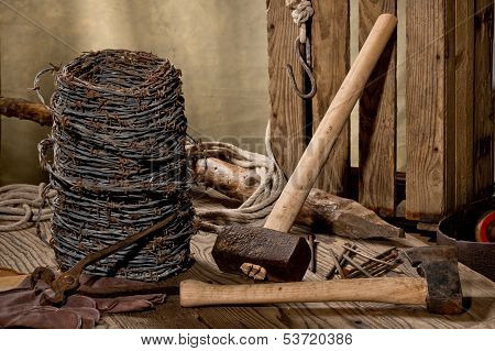 Still Life With Barbed Wire