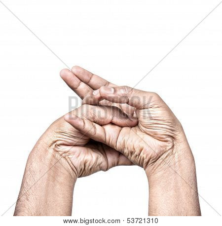 Makara Mudra
