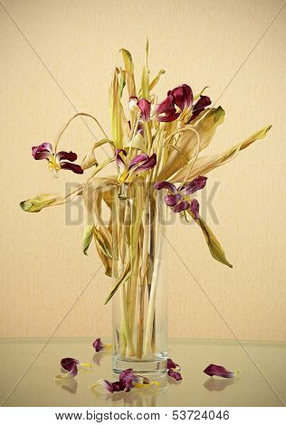 Wilted Flowers