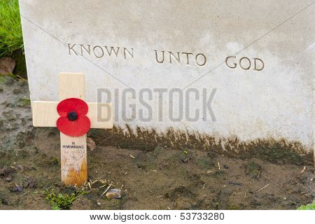 Poppies On Tyne Cot Cemetery First World War Flanders Belgium