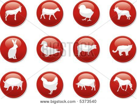 Farma zvířat tlačítka