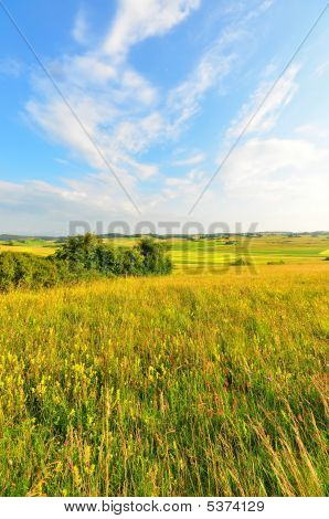 Meadow07 ร้อน