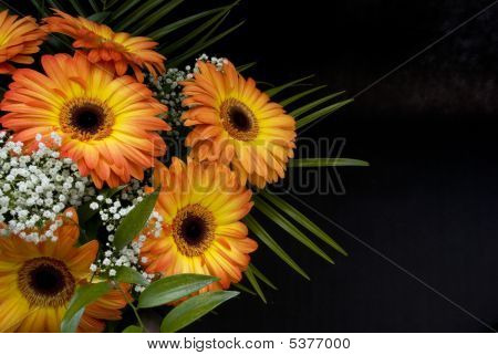 Blumenstrauß Gerber