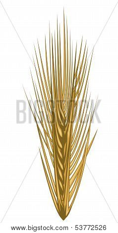 Golden ear of wheat