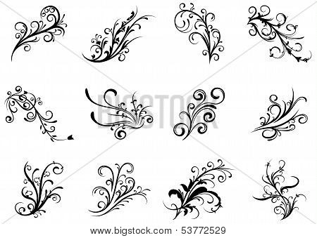 Collection of floral elements
