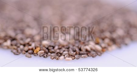 Organic Chia Seeds