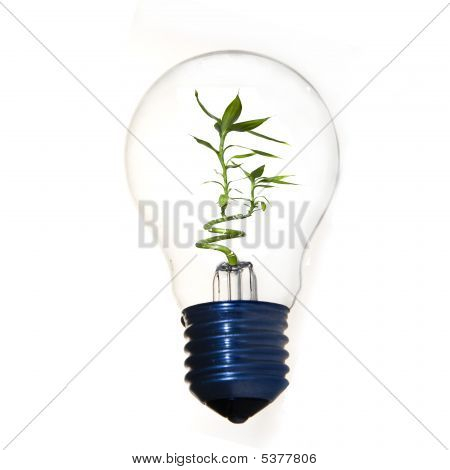 Čistá energie