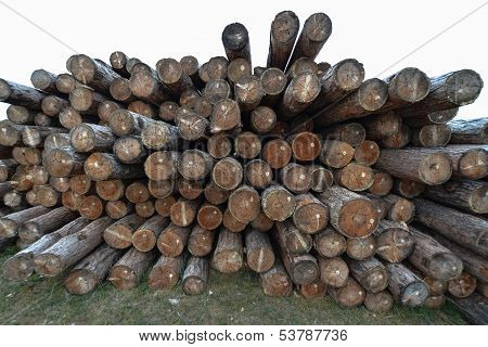 Siberian Wooden Logs