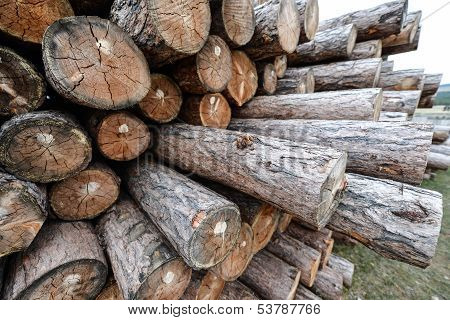 Siberian Wooden Logs