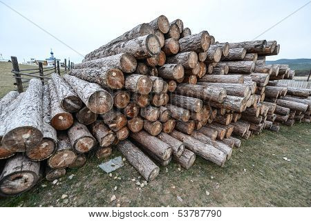 Siberian Wooden Logs