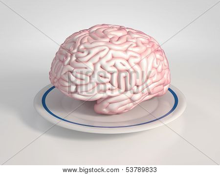 Brain On A Saucer
