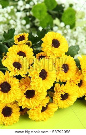 Beautiful flowers close up