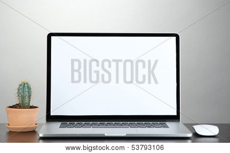 Laptop and cactus in flowerpot on wooden table on grey background
