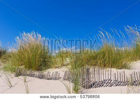Alaior Cala Son Bou in Menorca dunes at Balearic islands