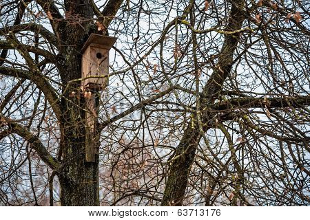 Nesting Box