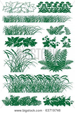 Grass