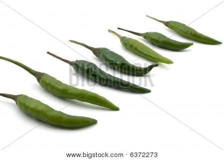 Forró Chilis-bors - indiai Chili Peppers In A Row elszigetelt fehér Background