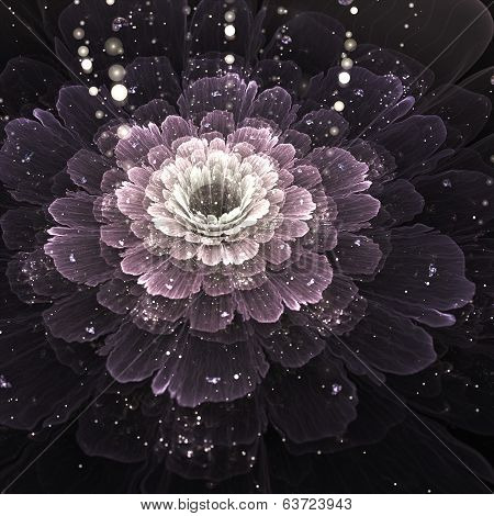 Violet Fractal Flower With Droplets Of Water