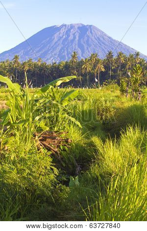 Mt. Agung, Amed, Bali.