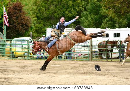 Bareback