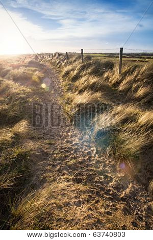 Blue Sky Summer Beach Landscape With Lens Flare Filter Effect