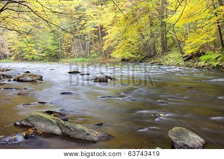 Metuje river in autumn, Czech Republic