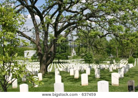 Arlington National Cemetery