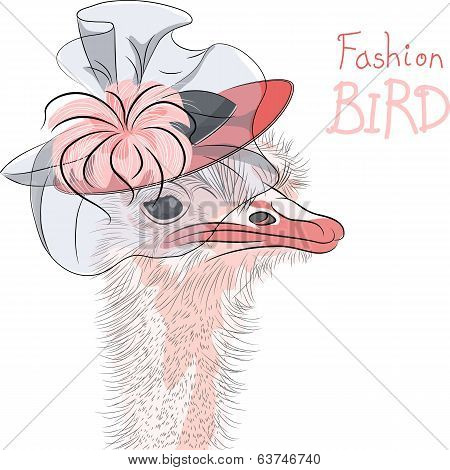 Vector Funny Fashion Ostrich Bird In A Beautiful Hat
