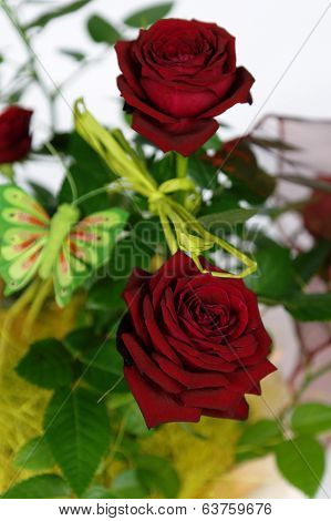 Red Roses