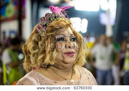 Carnaval 2014 - Rio de Janeiro