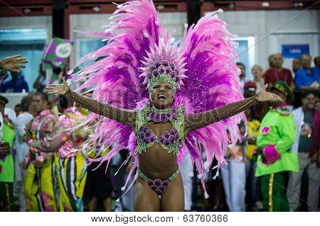 Carnaval 2014 - Rio de Janeiro