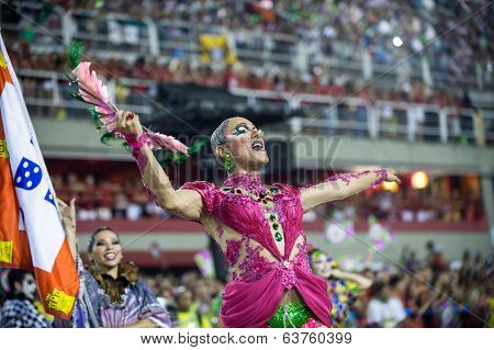 Carnaval 2014 - Rio de Janeiro