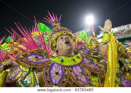 Carnival 2014 - Rio de Janeiro