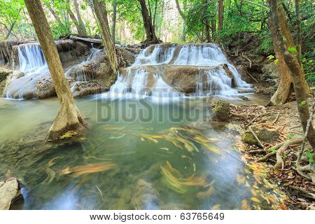 Deep Forest Waterfall In Kanchanaburi (huay Mae Kamin), Thailand.
