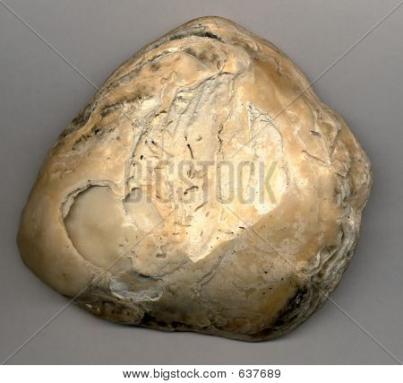 Shell