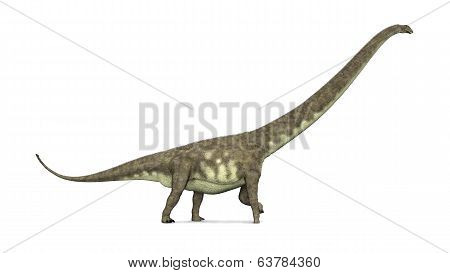 Dinosaur Mamenchisaurus