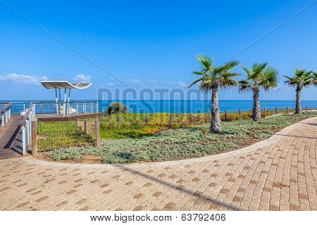 Paved promenade with palms and viewpoint along Mediterranean sea shoreline in Ashkelon, Israel.