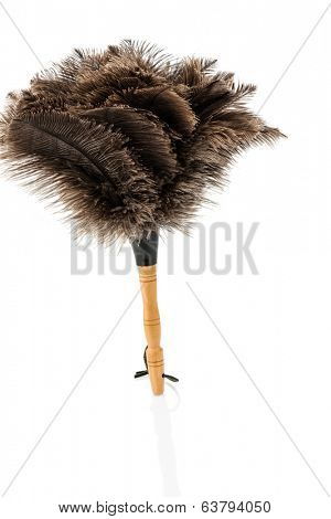 a feather duster against white background, symbol photo for cleanliness and care