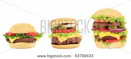 Three appetizing hamburgers.