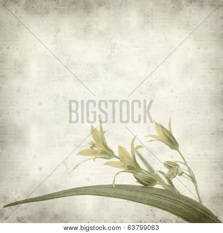 Textured Old Paper Background