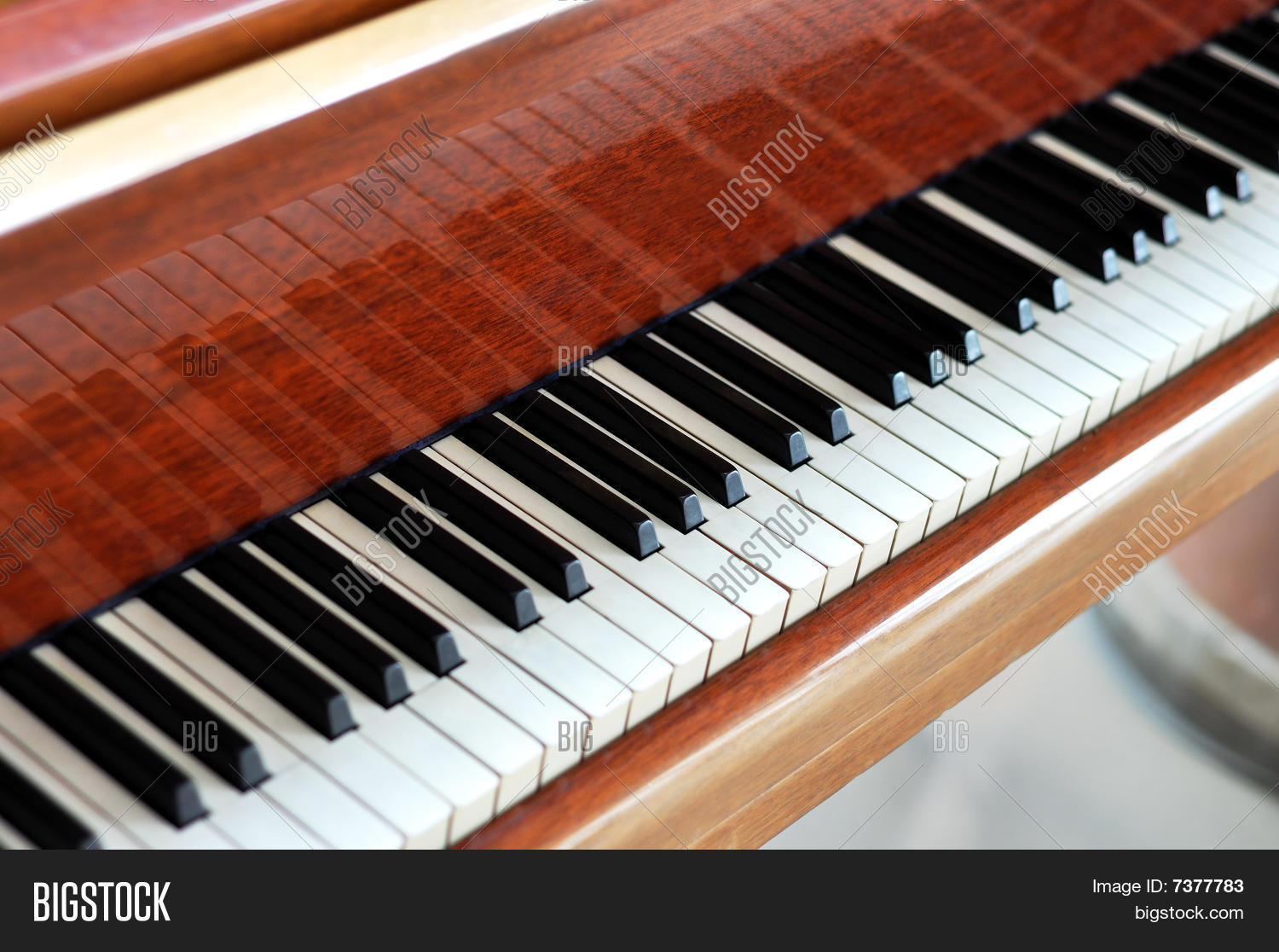 Image Preview