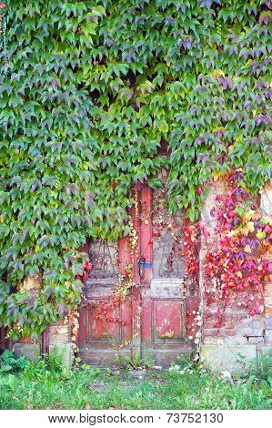 Old Red Doors