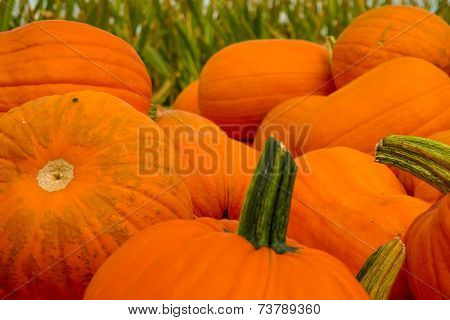 Pumpkins