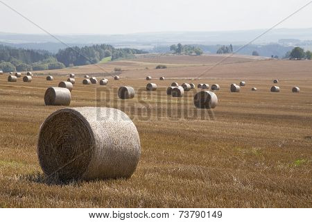 Straw bale