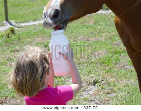 child_horse