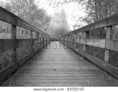 Wooden bridge walkway